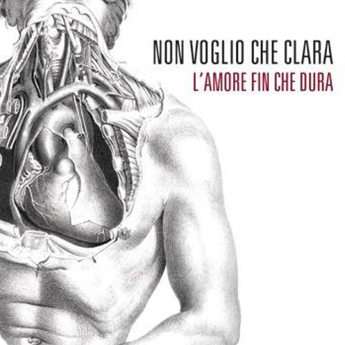 amore fin che