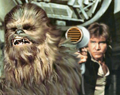wookie