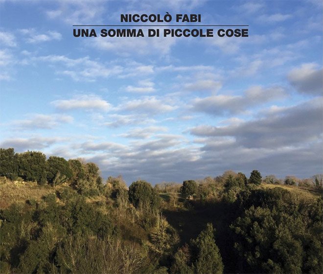 Una somma di piccole cose - Niccolò Fabi - copertina