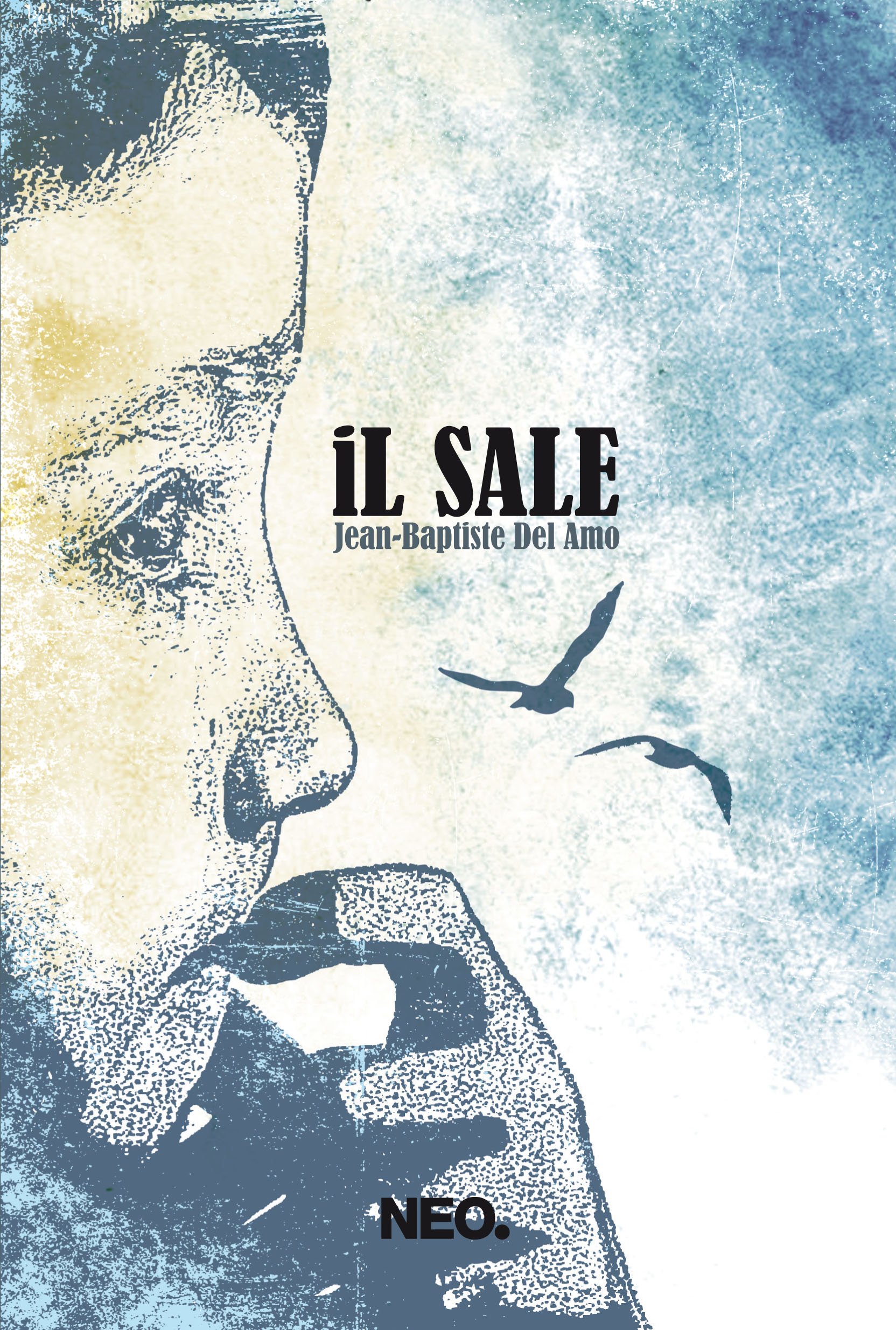 Jean Baptiste Del Amo, Il Sale, Neo Edizioni, recensione, una banda di cefali