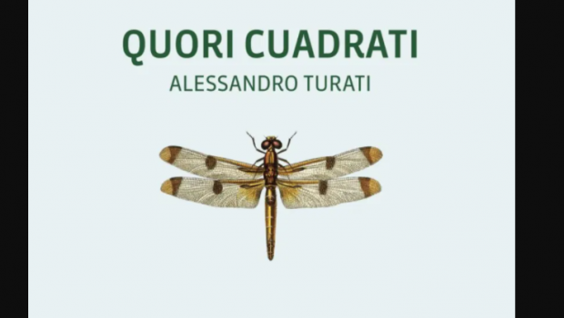 cuori quadrati